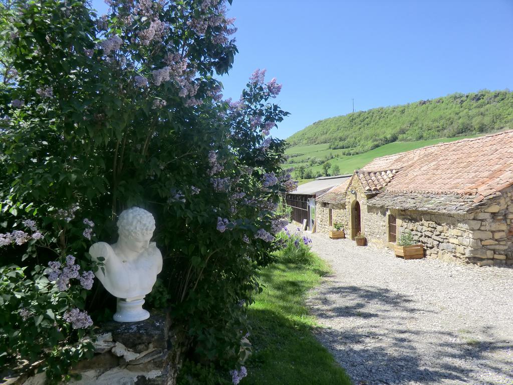 Domaine D'Alcapies Bed & Breakfast Saint-Jean-d'Alcapies Exterior photo